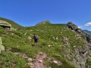 Monte Mincucco ad anello fiorito dal Lago di Valmora-26giu23- FOTOGALLERY